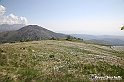 VBS_2603 - Fioritura Narcisi Castelnuovo Nigra 2022 e campi di papaveri rossi